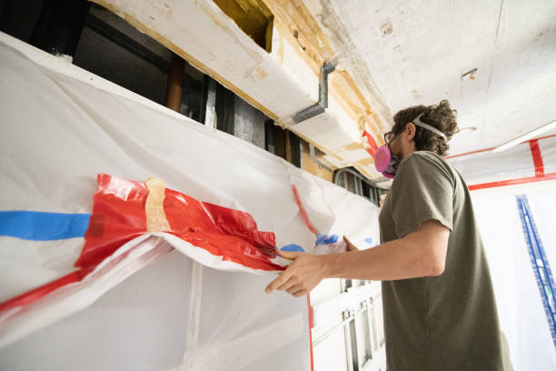 Best Basement Mold Removal  in Pittston, PA