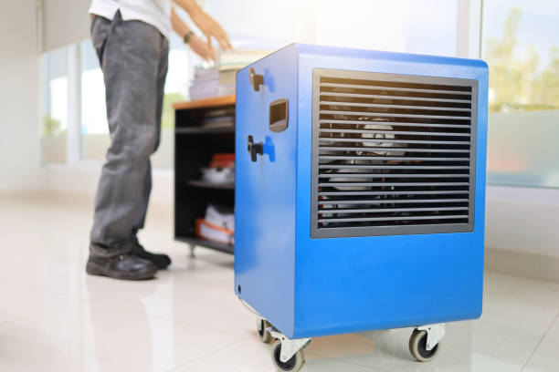 Best Mold Prevention Services  in Pittston, PA